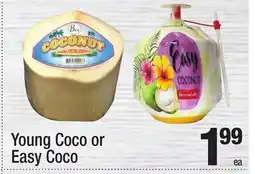 Super King Markets Young Coco or Easy Coco offer