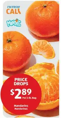 Aldi Mandarins offer