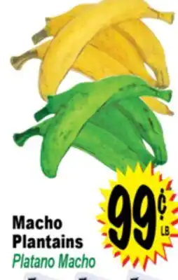 Superior Grocers Macho Plantains offer
