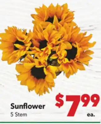 Vallarta Supermarkets Sunflower offer