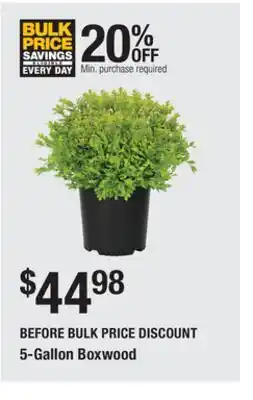 The Home Depot 5-Gallon Boxwood offer