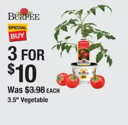 The Home Depot BURPEE 3.5 Vegetable offer