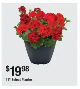 The Home Depot 11 Select Planter offer