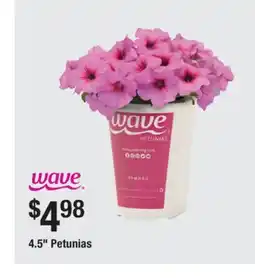 The Home Depot WAVE 4.5 Petunias offer