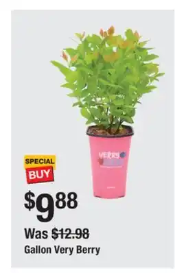 The Home Depot Gallon Very Berry offer