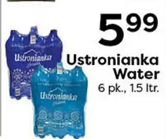 Rich's Fresh Market Ustronianka Water offer