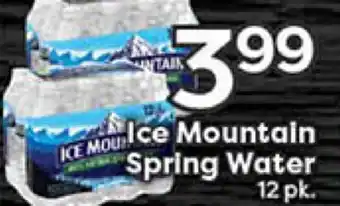 Rich's Fresh Market Ice Mountain Spring Water offer