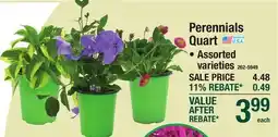 Menards Perennials Quart offer