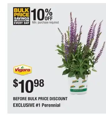 The Home Depot 1 Perennial offer