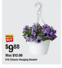 The Home Depot 10 Classic Hanging Basket offer