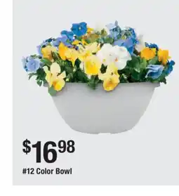 The Home Depot 12 Color Bowl offer