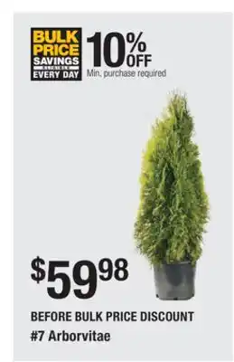 The Home Depot 7 Arborvitae offer