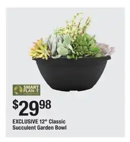 The Home Depot 12 Classic Succulent Garden Bowl offer