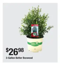 The Home Depot 3-Gallon Better Boxwood offer