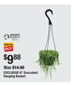 The Home Depot 6 Succulent Hanging Basket offer