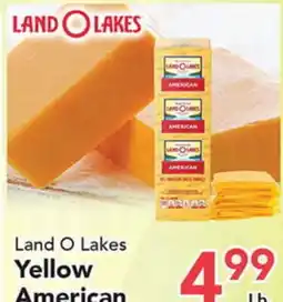 Eurofresh Market Land O Lakes Yellow American offer