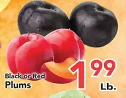 Eurofresh Market Black or Red Plums offer