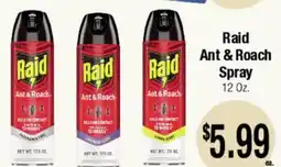 Big Saver Foods Raid Ant & Roach Spray offer