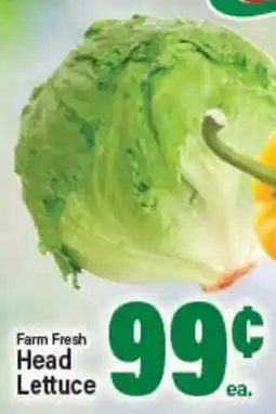 Angelo Caputo's Fresh Market Farm Fresh Head Lettuce offer