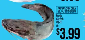 Hmart Fresh Catfish offer