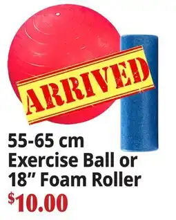 Ocean State Job Lot 55-65 cm Exercise Ball or 18 Foam Roller offer