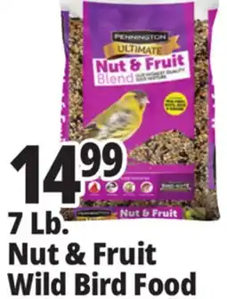 Ocean State Job Lot Pennington Ultimate Nut & Fruit Blend Wild Bird Seed 7 lbs offer