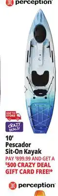 Ocean State Job Lot Perception Pescador 10.0 Fishing Kayak Seaspray offer
