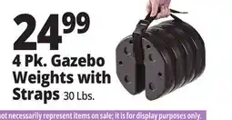 Ocean State Job Lot 4 Pk. Gazebo Weights with Straps offer