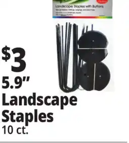 Ocean State Job Lot Tiller & Rowe Landscape Staples with Buttons 10 Count offer