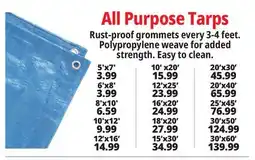 Ocean State Job Lot All Purpose Tarps offer