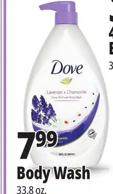 Ocean State Job Lot Body Wash offer