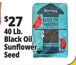 Ocean State Job Lot Black Oil Sunflower Seeds 40 lbs offer