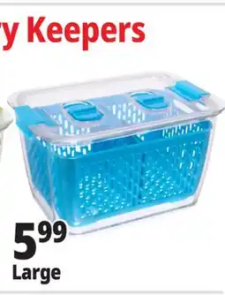 Ocean State Job Lot Large Berry Keepers offer