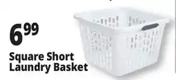 Ocean State Job Lot Square Short Laundry Basket offer