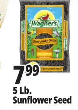 Ocean State Job Lot Wagner's Black Oil Sunflower Seed Wild Bird Food 5 lbs offer