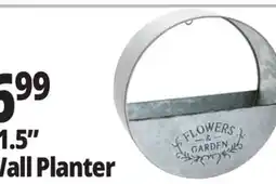 Ocean State Job Lot 11.5 Wall Planter offer