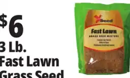 Ocean State Job Lot X-Seed Fast Lawn Grass Seed Mixture 3 lbs offer