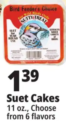 Ocean State Job Lot Bird Feeder's Choice High Energy Suet 11 oz offer