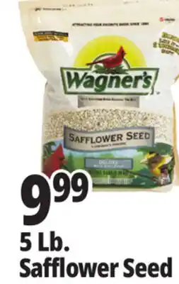 Ocean State Job Lot Wagner's Safflower Seed Deluxe Wild Bird Food offer