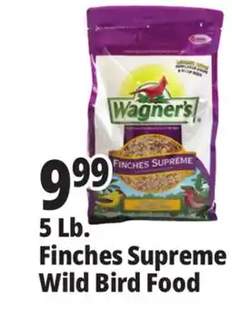 Ocean State Job Lot Better Bird Songbird Better Blends Food 5 lbs offer