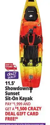 Ocean State Job Lot Perception Showdown 11.5 Fishing Pedal Kayak Dapper offer