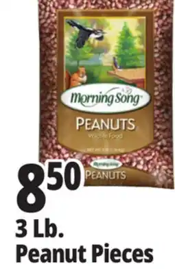Ocean State Job Lot Audubon Peanut Pieces Bird Seed 3lb offer