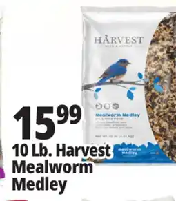 Ocean State Job Lot Harvest Seed & Supply Mealworm Medley Wild Bird Food 10 lb offer