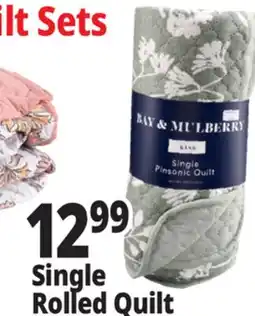 Ocean State Job Lot Single Rolled Quilt offer