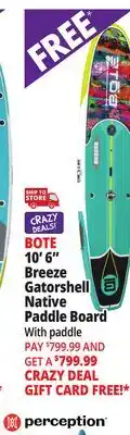 Ocean State Job Lot BOTE 10' x 6 Breeze Gatorshell Native Paddle Board with Paddle Native Spectrum offer