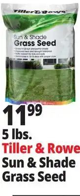 Ocean State Job Lot Tiller & Rowe Sun & Shade Grass Seed 5 lbs offer