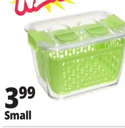 Ocean State Job Lot Small Berry Keepers offer