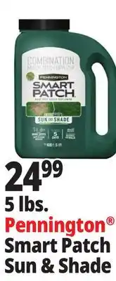 Ocean State Job Lot Pennington Smart Patch Grass Seed Fertilizer Mulch 5 lbs offer