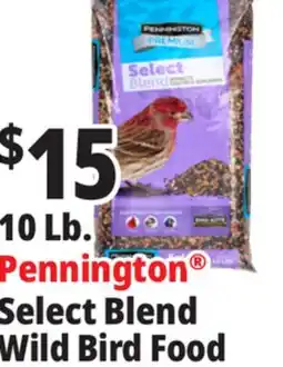 Ocean State Job Lot Pennington Premium Select Blend Bird Seed 10 lb offer