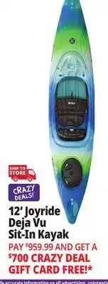 Ocean State Job Lot Perception Joyride 12.0 Recreational Kayak Deja Vu offer